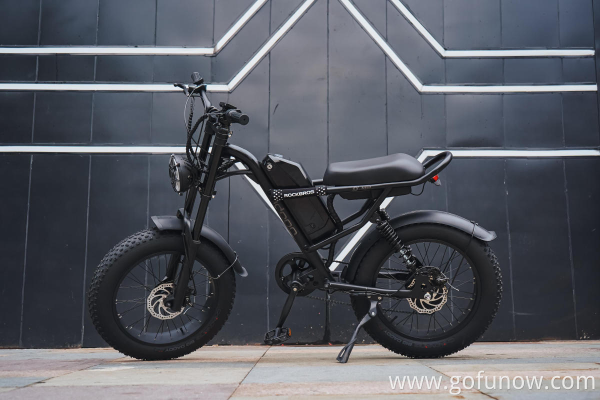 20 Inch Fat Tire Ebike